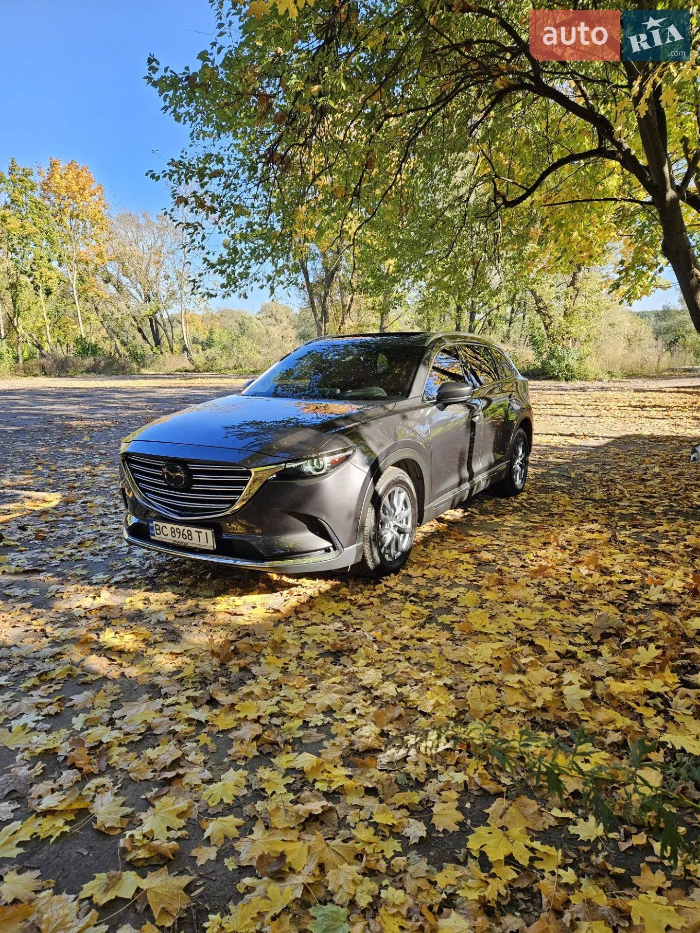 2016 Mazda CX-9 - мініатюра 11