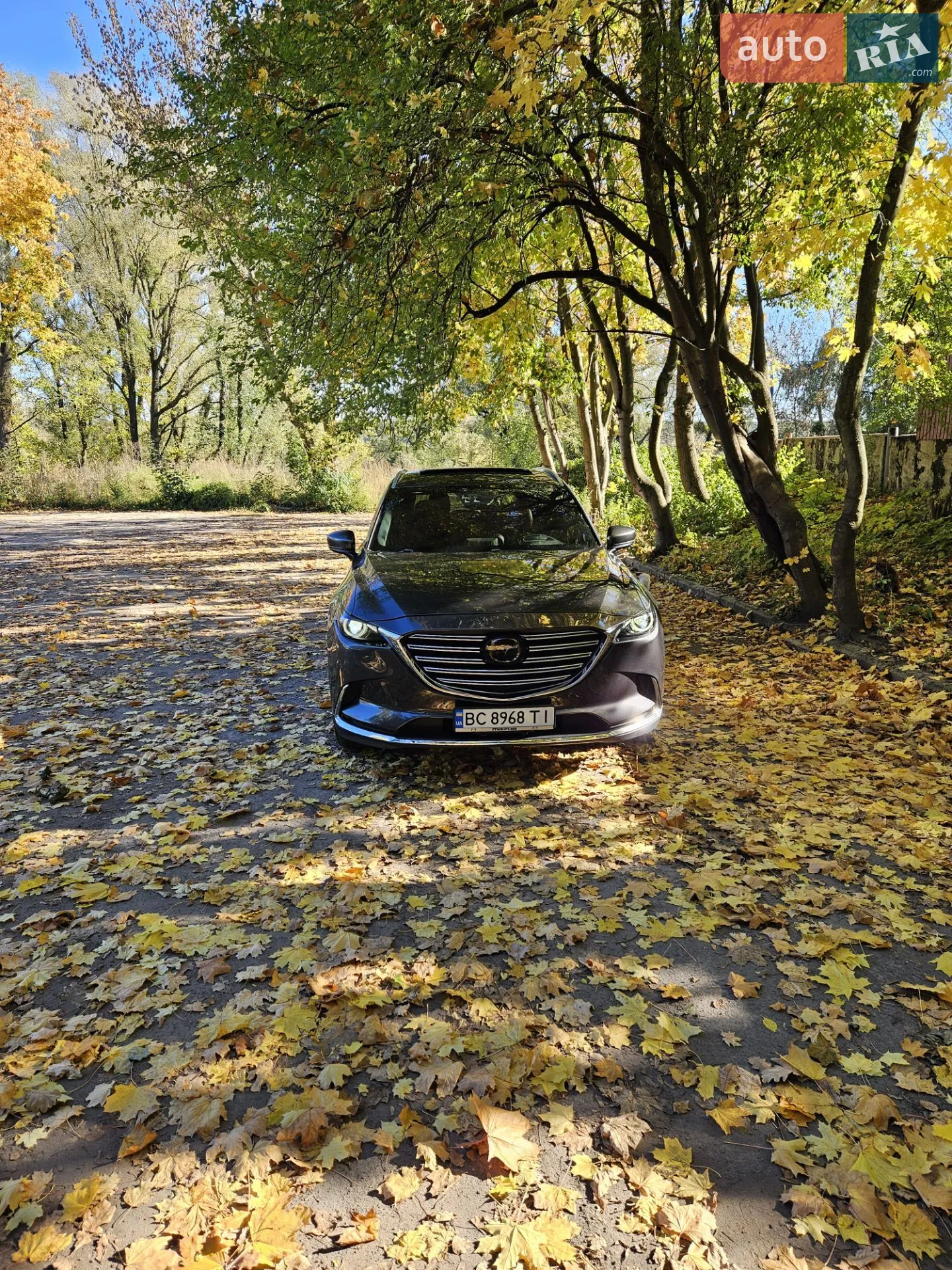 2016 Mazda CX-9 - мініатюра 2