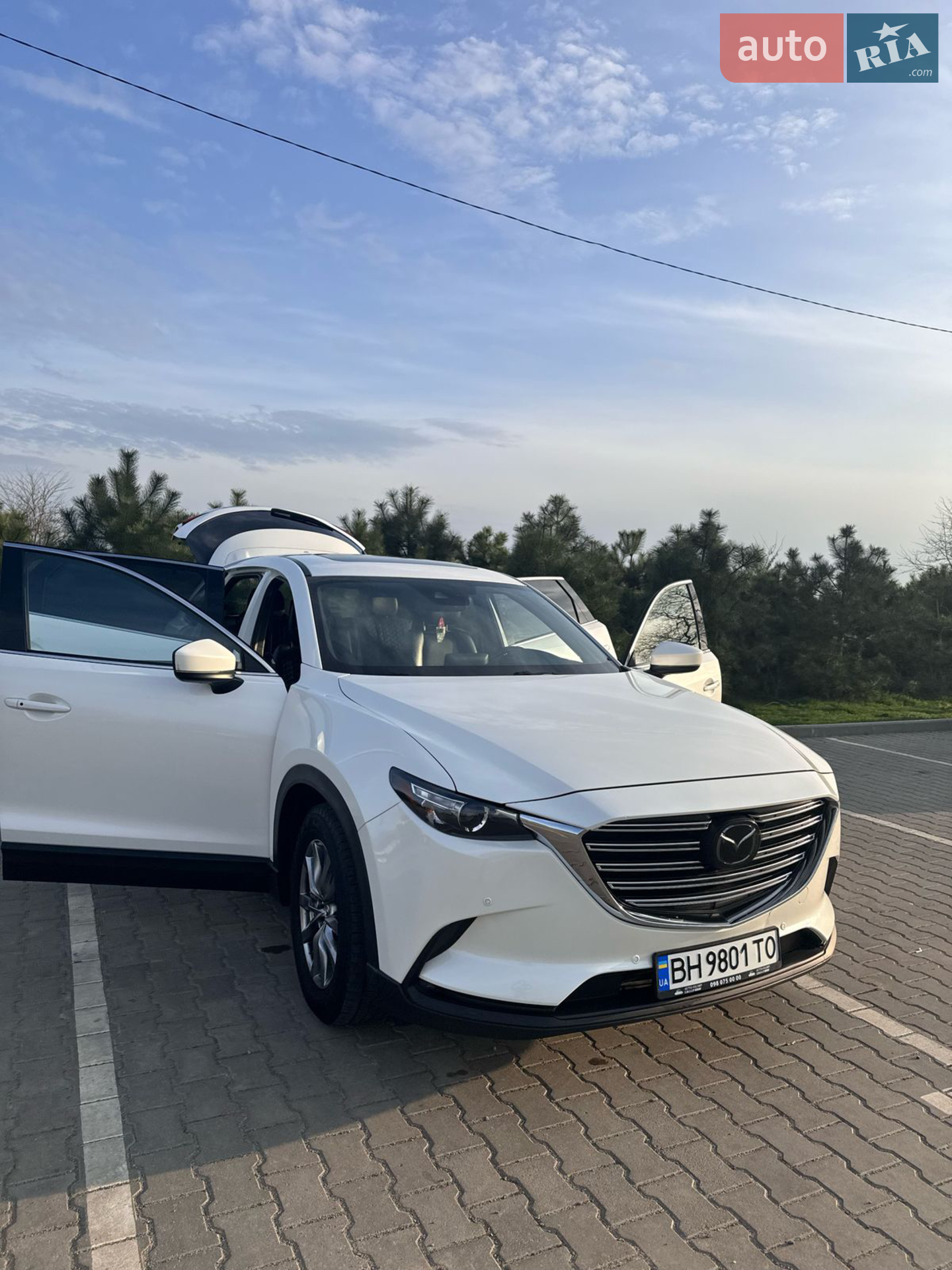 2018 Mazda CX-9 - мініатюра 12