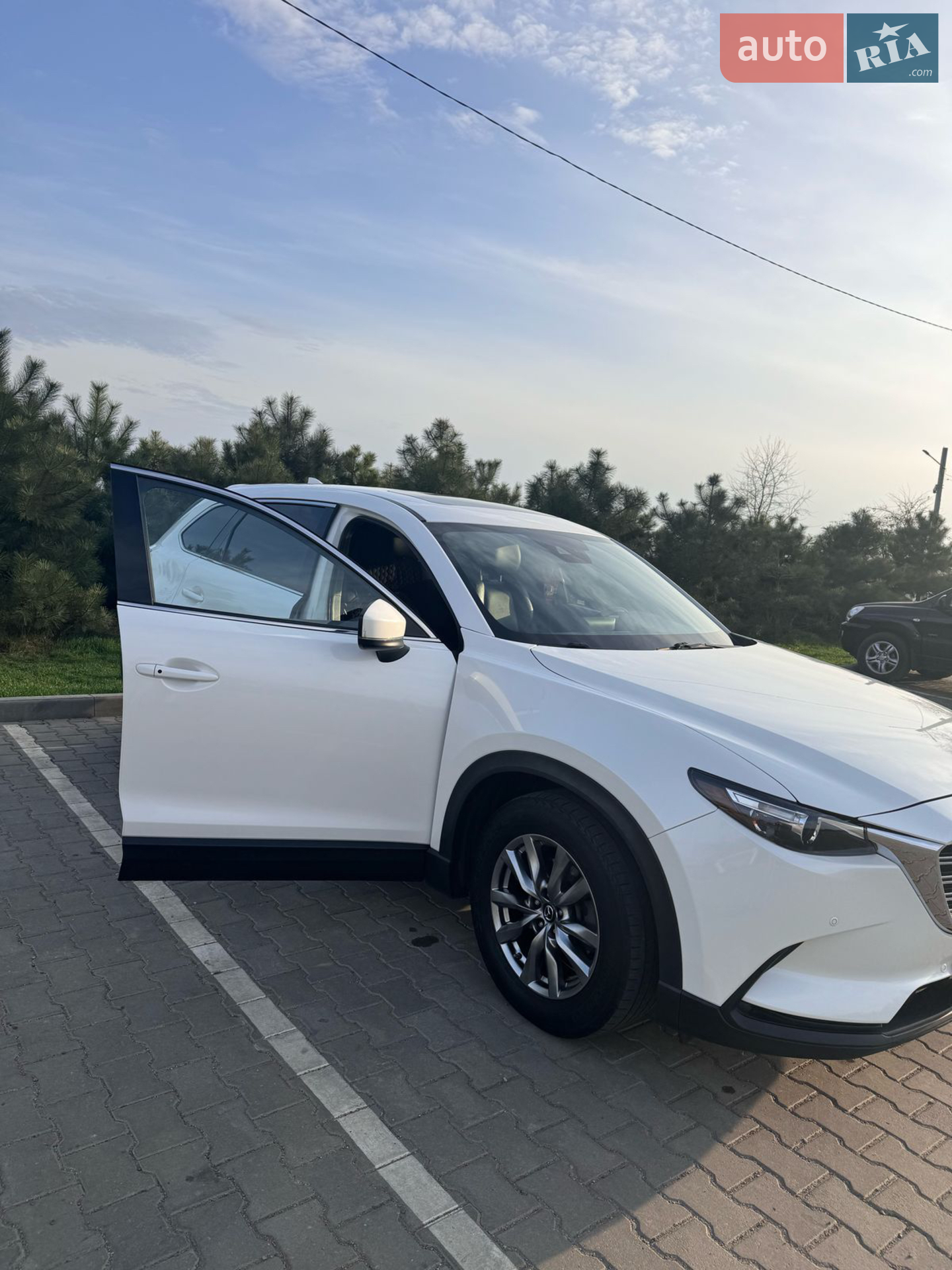 2018 Mazda CX-9 - мініатюра 19