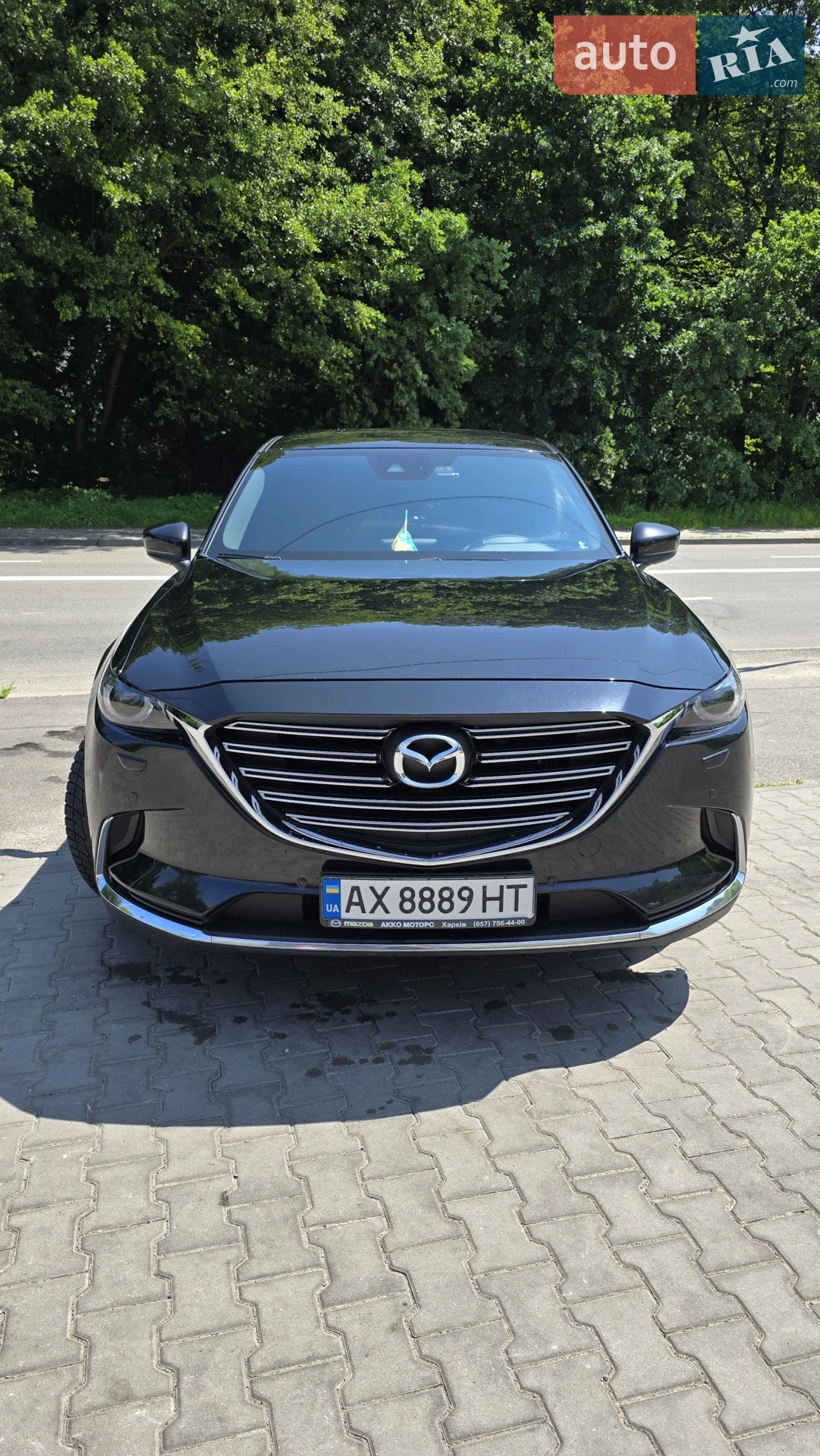 2019 Mazda CX-9 - мініатюра 2