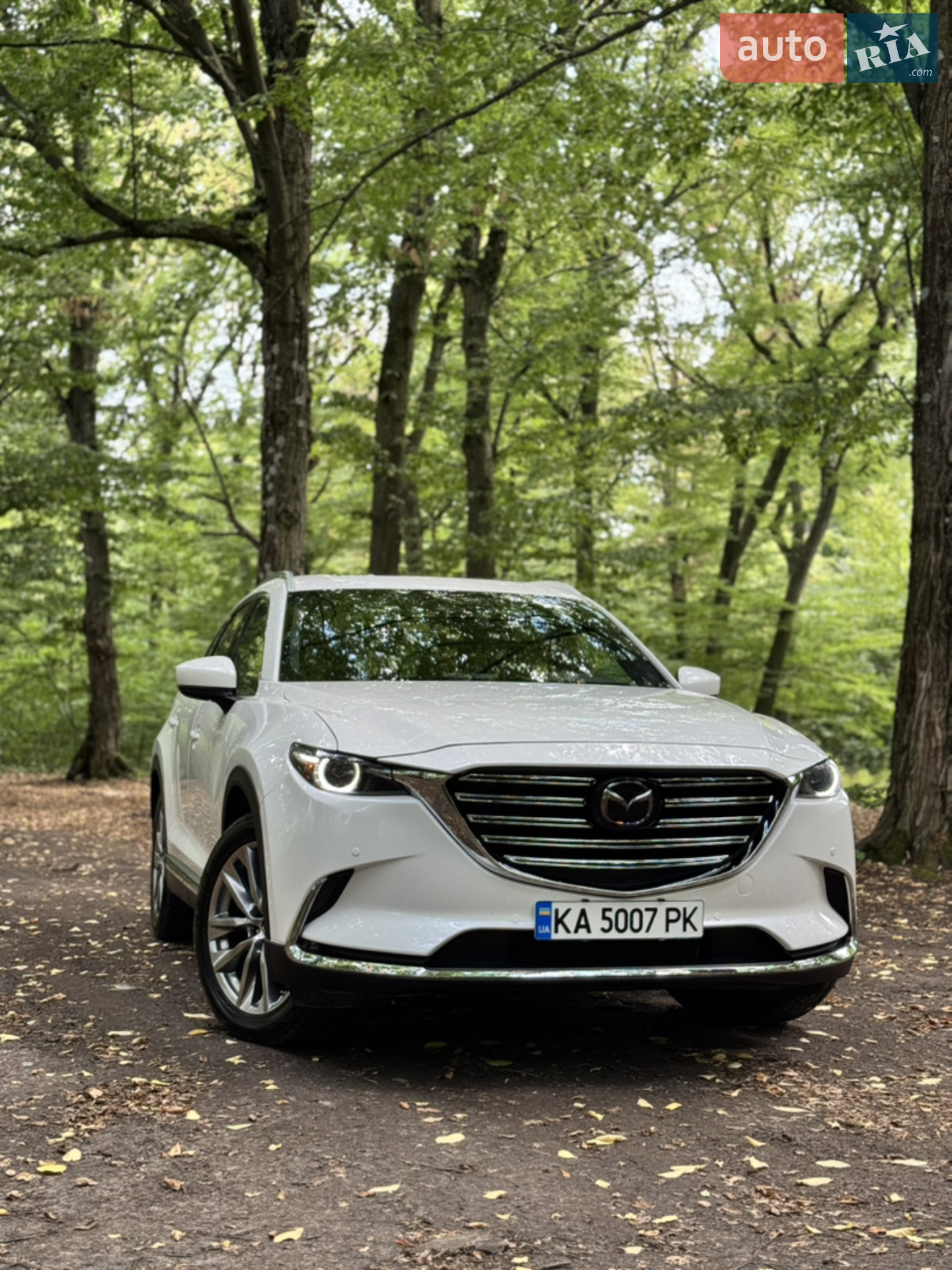 2017 Mazda CX-9 - мініатюра 35