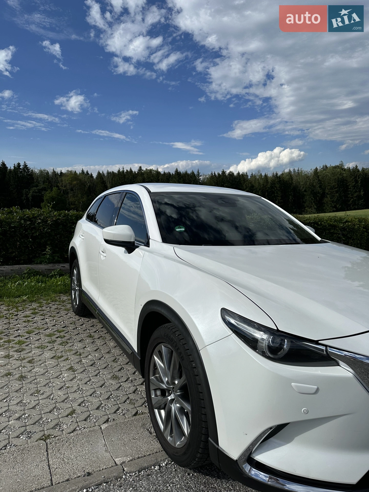 2018 Mazda CX-9 - мініатюра 5