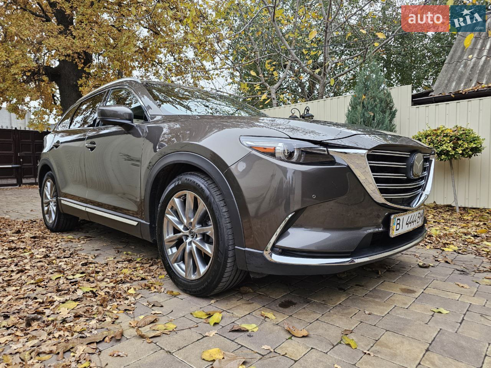 2017 Mazda CX-9 - мініатюра 2