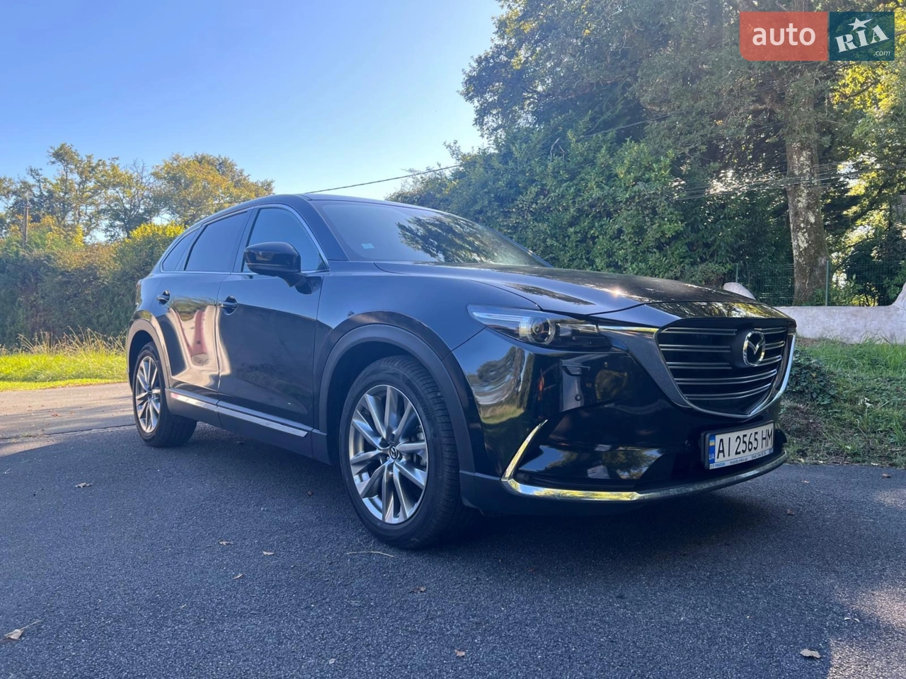 2019 Mazda CX-9 - мініатюра 17