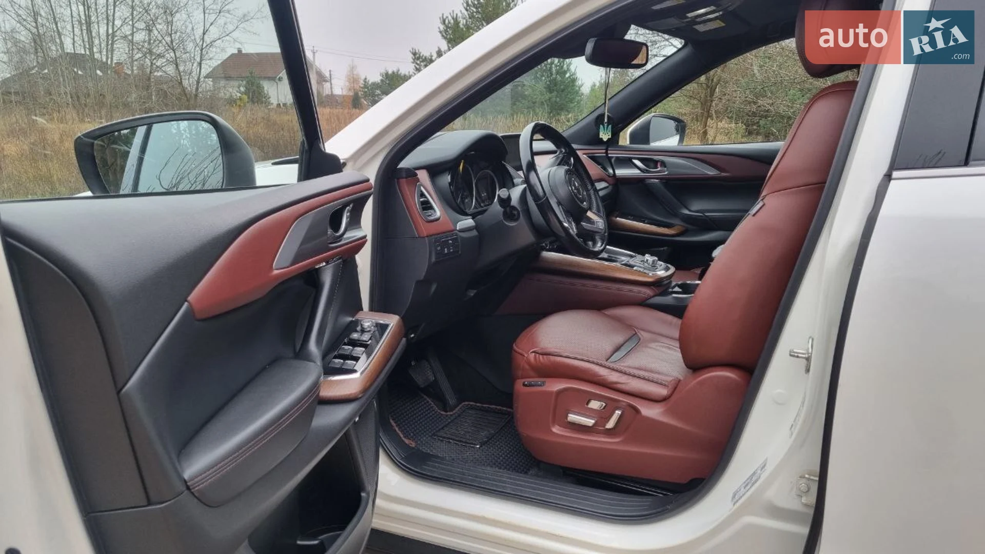 2017 Mazda CX-9 - мініатюра 9