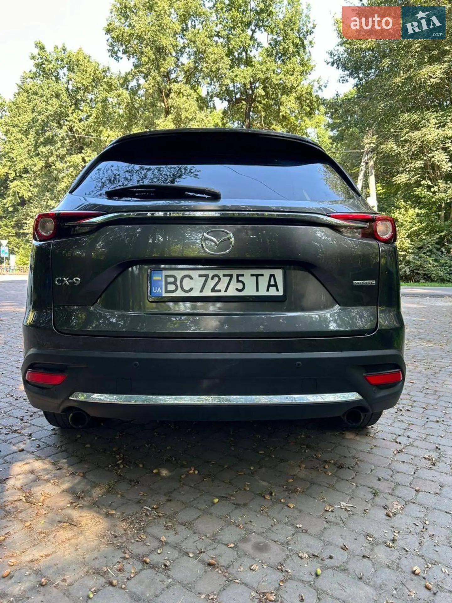 2021 Mazda CX-9 - мініатюра 4