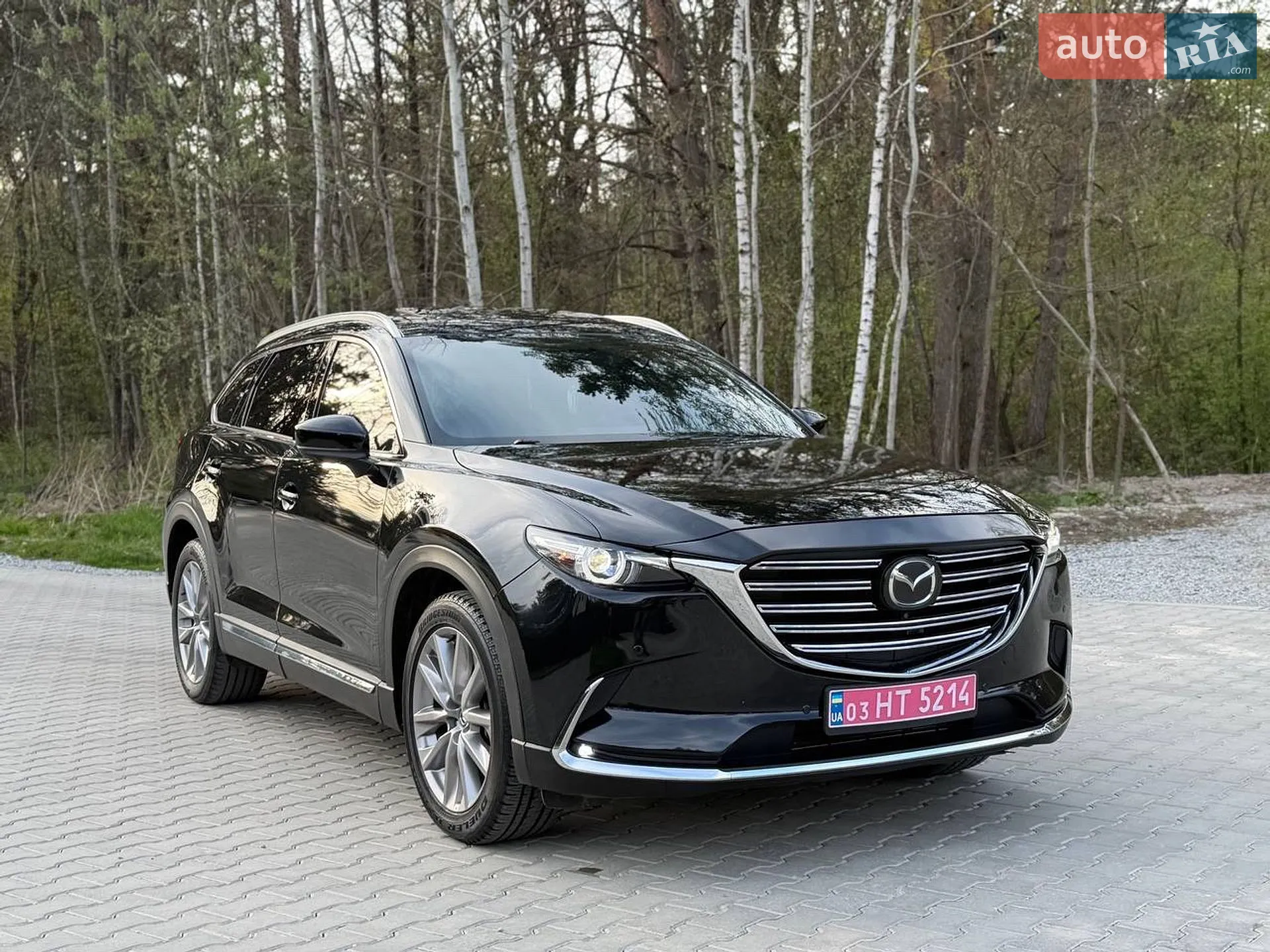 2021 Mazda CX-9 - мініатюра 34