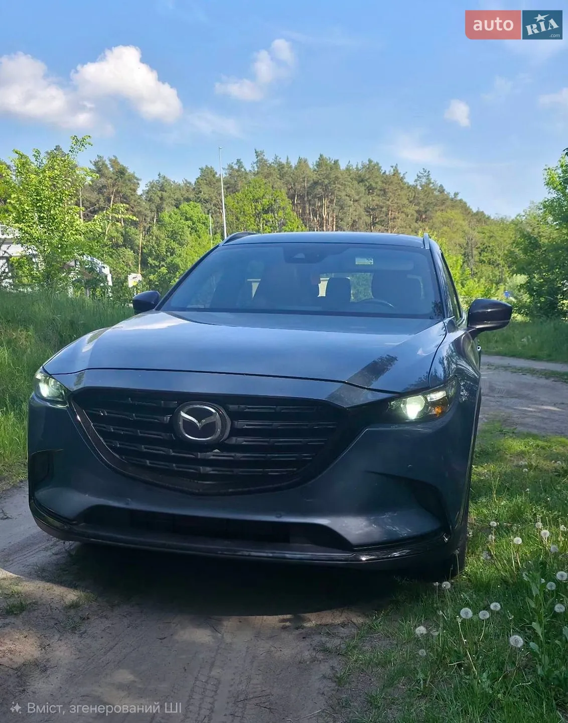 2021 Mazda CX-9 - мініатюра 5