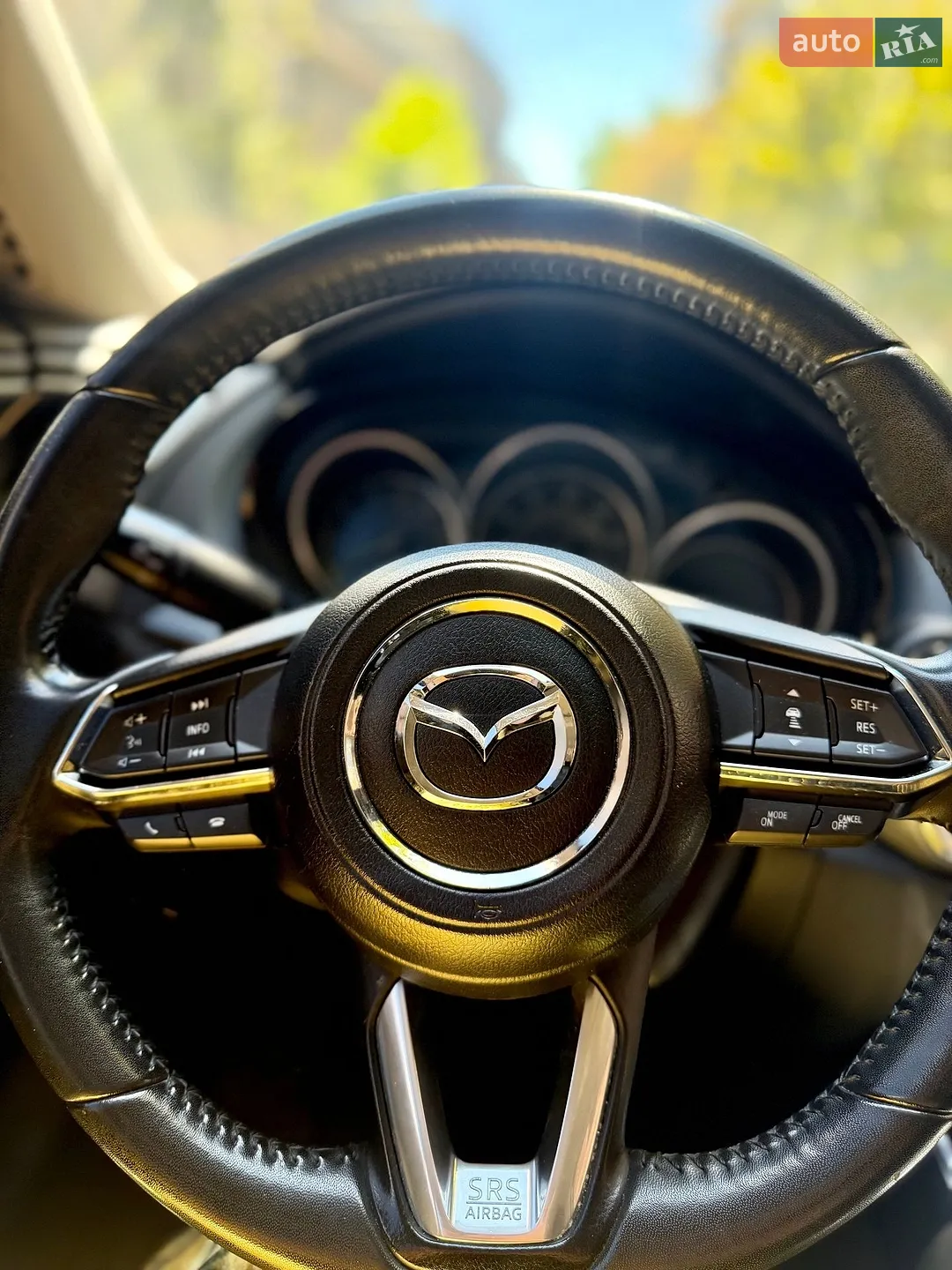 2019 Mazda CX-9 - мініатюра 25