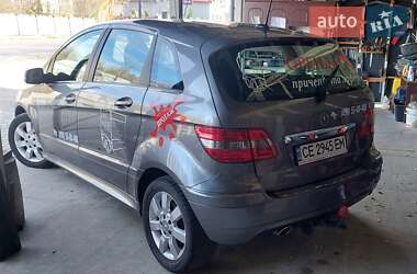 Хетчбек Mercedes-Benz B-Class 2010 в Снятині