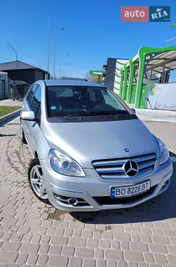 Хетчбек Mercedes-Benz B-Class 2010 в Підгайцях