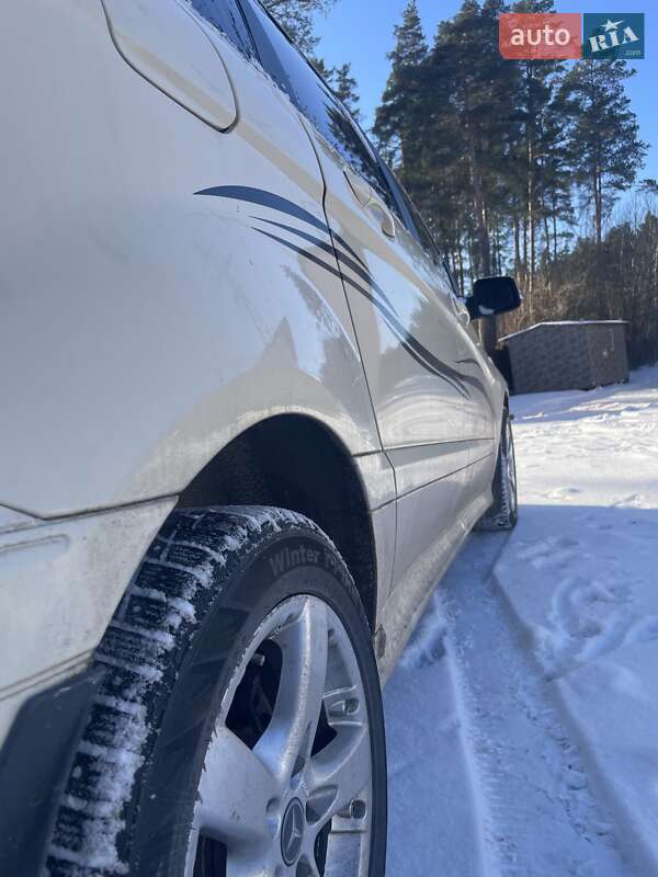 Хетчбек Mercedes-Benz B-Class 2008 в Житомирі