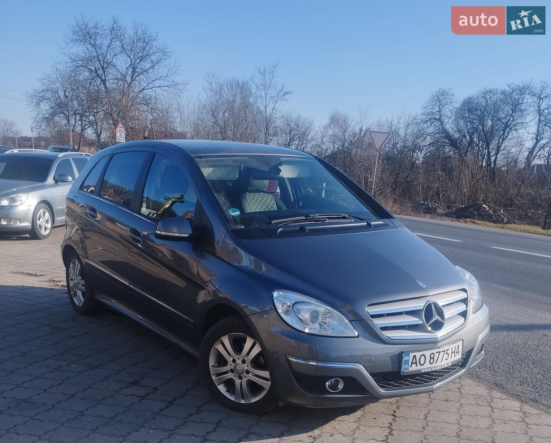2010 Mercedes-Benz B-klasse - фото 1