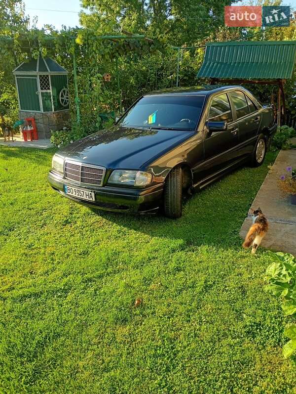 Mercedes-Benz C-Class 1996 Mercedes-Benz C-Class 1996
