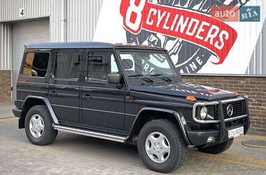Внедорожник / Кроссовер Mercedes-Benz G-Class 1995 в Днепре
