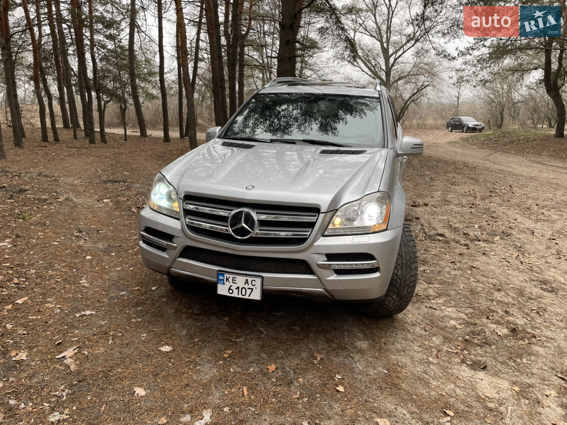 2010 Mercedes-Benz GL-klasse - фото 1