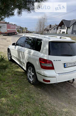 Внедорожник / Кроссовер Mercedes-Benz GLK-Class 2010 в Новояворовске