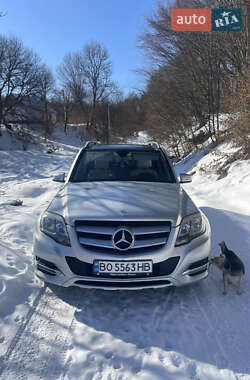 Внедорожник / Кроссовер Mercedes-Benz GLK-Class 2013 в Бережанах