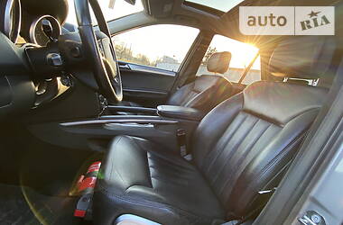 Позашляховик / Кросовер Mercedes-Benz M-Class 2008 в 