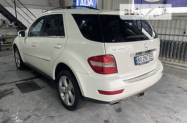 Внедорожник / Кроссовер Mercedes-Benz M-Class 2010 в 