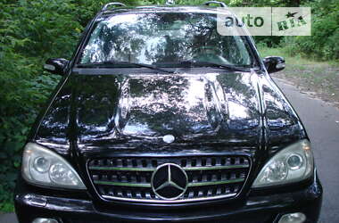 Внедорожник / Кроссовер Mercedes-Benz M-Class 2004 в Светловодске