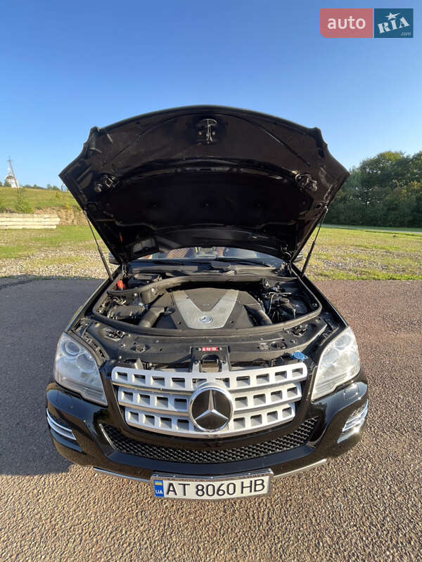 Позашляховик / Кросовер Mercedes-Benz M-Class 2010 в Болехові