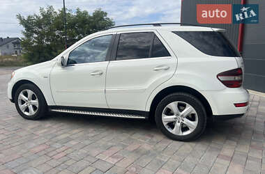 Внедорожник / Кроссовер Mercedes-Benz M-Class 2008 в 