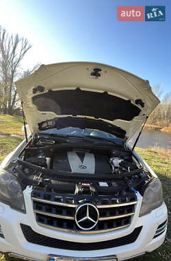 Внедорожник / Кроссовер Mercedes-Benz M-Class 2011 в 
