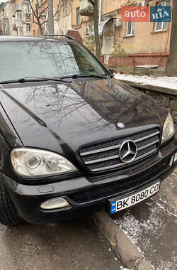 Внедорожник / Кроссовер Mercedes-Benz M-Class 2003 в 