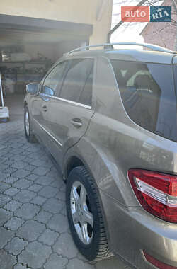 Внедорожник / Кроссовер Mercedes-Benz M-Class 2009 в 