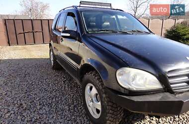 Внедорожник / Кроссовер Mercedes-Benz M-Class 2004 в 