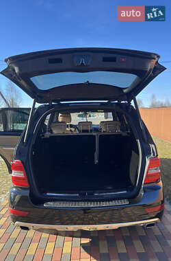 Внедорожник / Кроссовер Mercedes-Benz M-Class 2009 в 