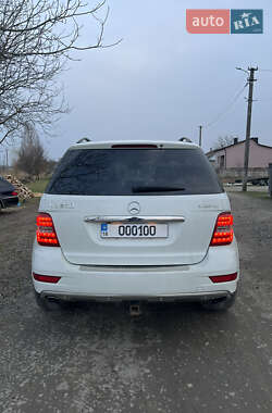 Внедорожник / Кроссовер Mercedes-Benz M-Class 2010 в 