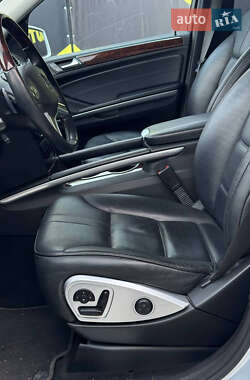 Внедорожник / Кроссовер Mercedes-Benz M-Class 2010 в 
