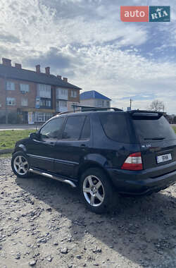 Внедорожник / Кроссовер Mercedes-Benz M-Class 2001 в 