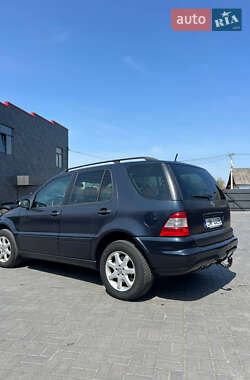 Внедорожник / Кроссовер Mercedes-Benz M-Class 2002 в 