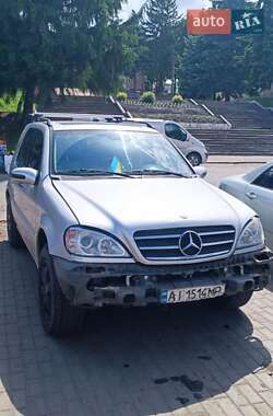 Внедорожник / Кроссовер Mercedes-Benz M-Class 2003 в 