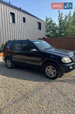 Внедорожник / Кроссовер Mercedes-Benz M-Class 2002 в 