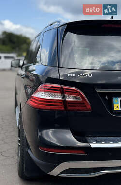 Внедорожник / Кроссовер Mercedes-Benz M-Class 2012 в 