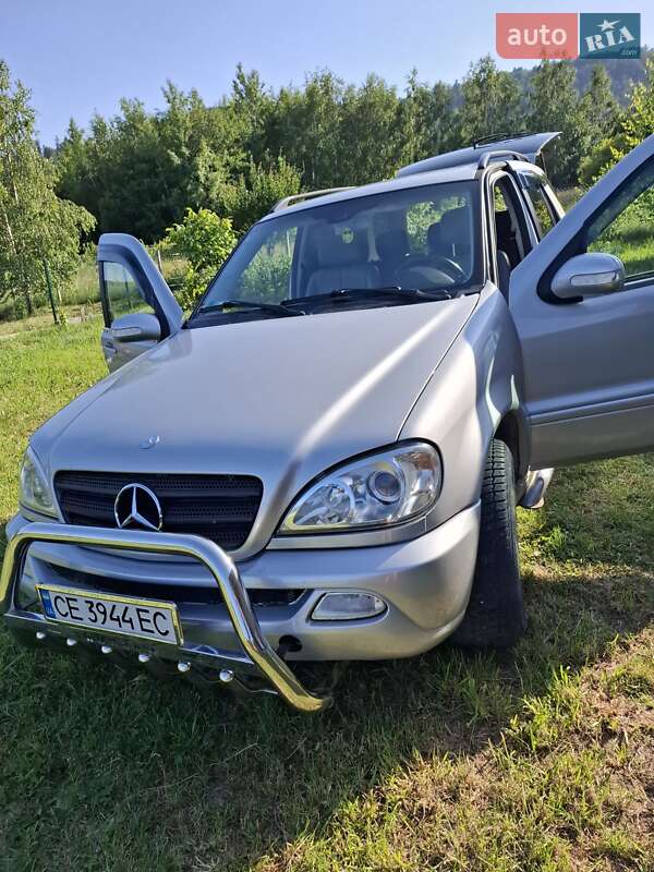 Внедорожник / Кроссовер Mercedes-Benz M-Class 2001 в Берегомете
