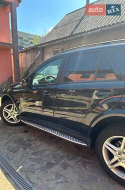 Внедорожник / Кроссовер Mercedes-Benz M-Class 2007 в 