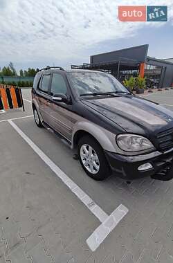 Внедорожник / Кроссовер Mercedes-Benz M-Class 2002 в 