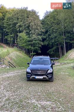 Внедорожник / Кроссовер Mercedes-Benz M-Class 2013 в 