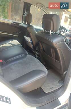 Внедорожник / Кроссовер Mercedes-Benz M-Class 2010 в 