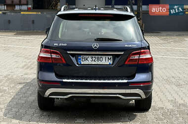 Позашляховик / Кросовер Mercedes-Benz M-Class 2014 в 