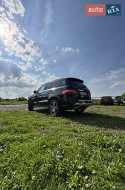 Внедорожник / Кроссовер Mercedes-Benz M-Class 2015 в 