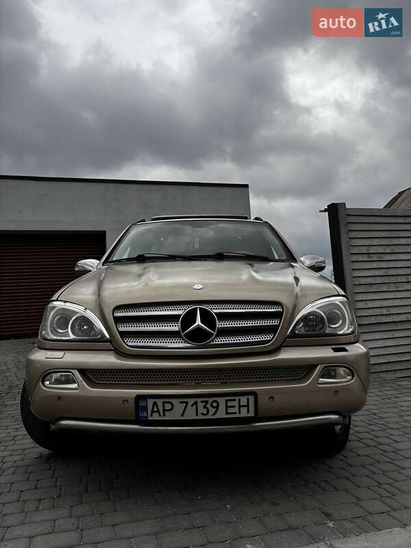 Внедорожник / Кроссовер Mercedes-Benz M-Class 2004 в Запорожье фото 14 Внедорожник / Кроссовер Mercedes-Benz M-Class 2004 в Запорожье