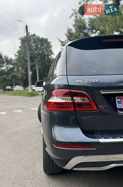 Внедорожник / Кроссовер Mercedes-Benz M-Class 2014 в 