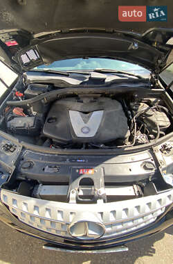 Внедорожник / Кроссовер Mercedes-Benz M-Class 2007 в 